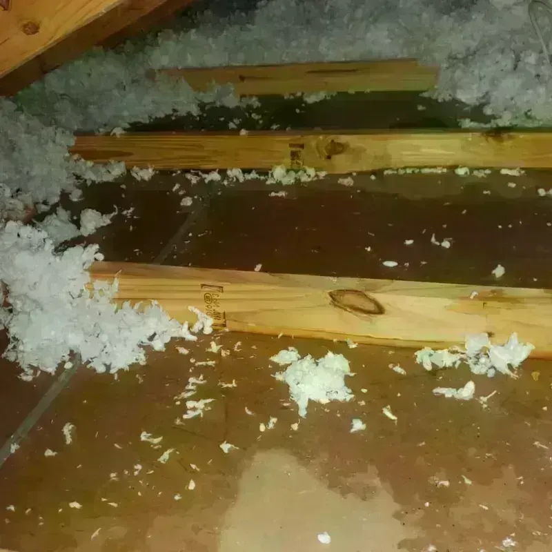 Attic Water Damage in Littlerock, CA