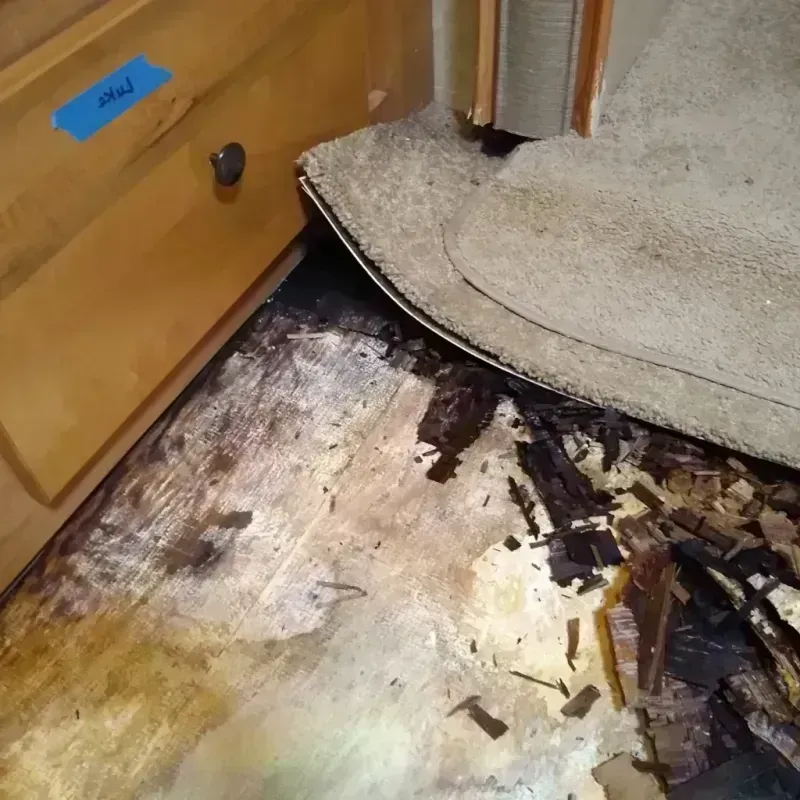 Wood Floor Water Damage in Littlerock, CA